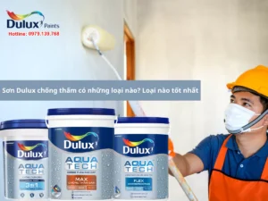 SƠN DULUX